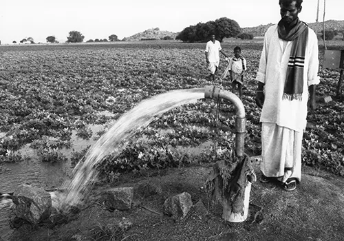 A black and white photo of an Indian man standing next to a water pump that is releasing water on the ground near some crops that are growing. Another Indian man and a young Indian boy are walking amongst the crops in the background.